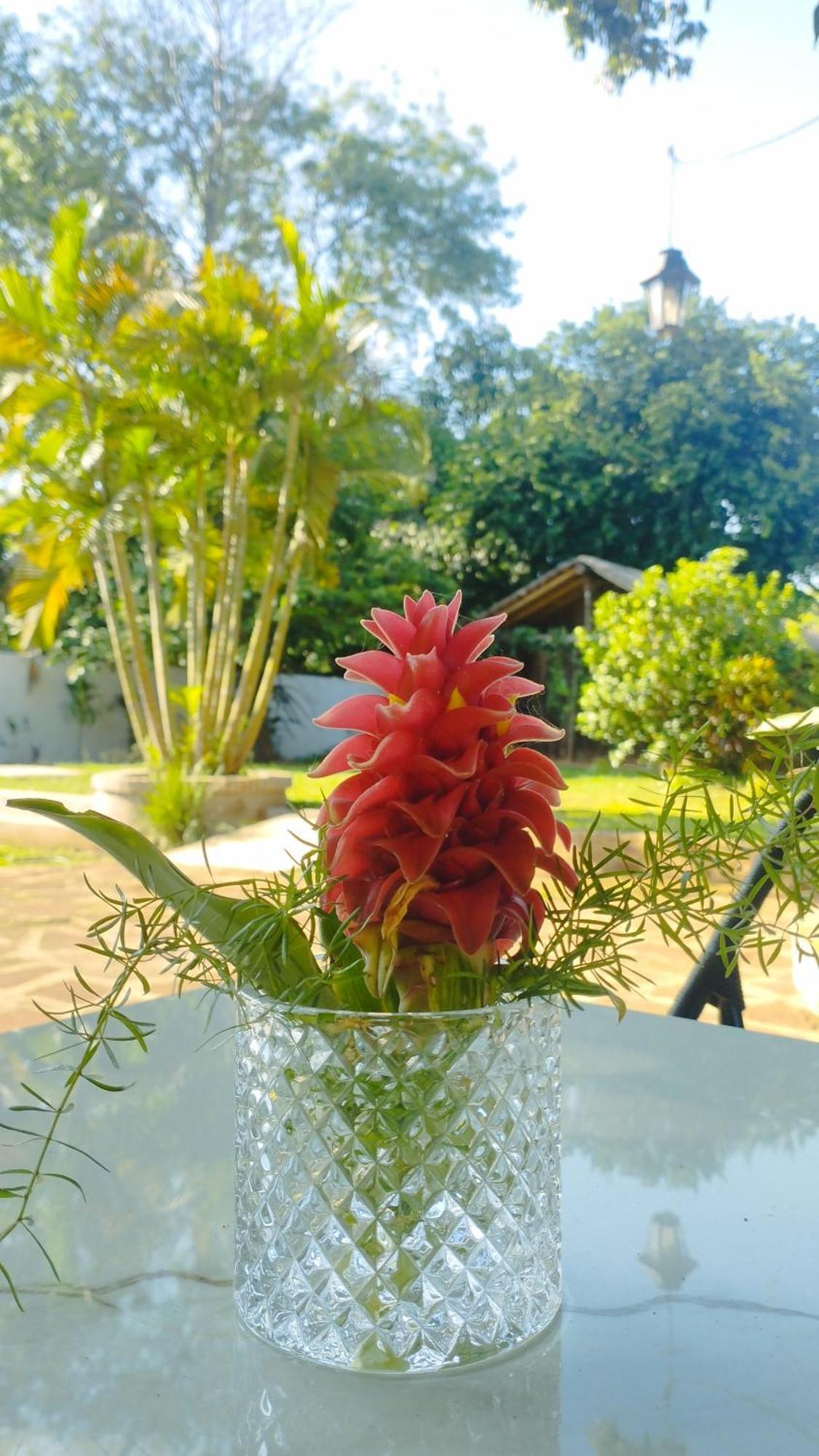 Santa Maria Hotel Ngoại thất bức ảnh